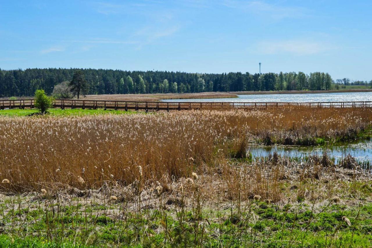 Feriehus Gosciniec Echo Drewniane Caloroczne *