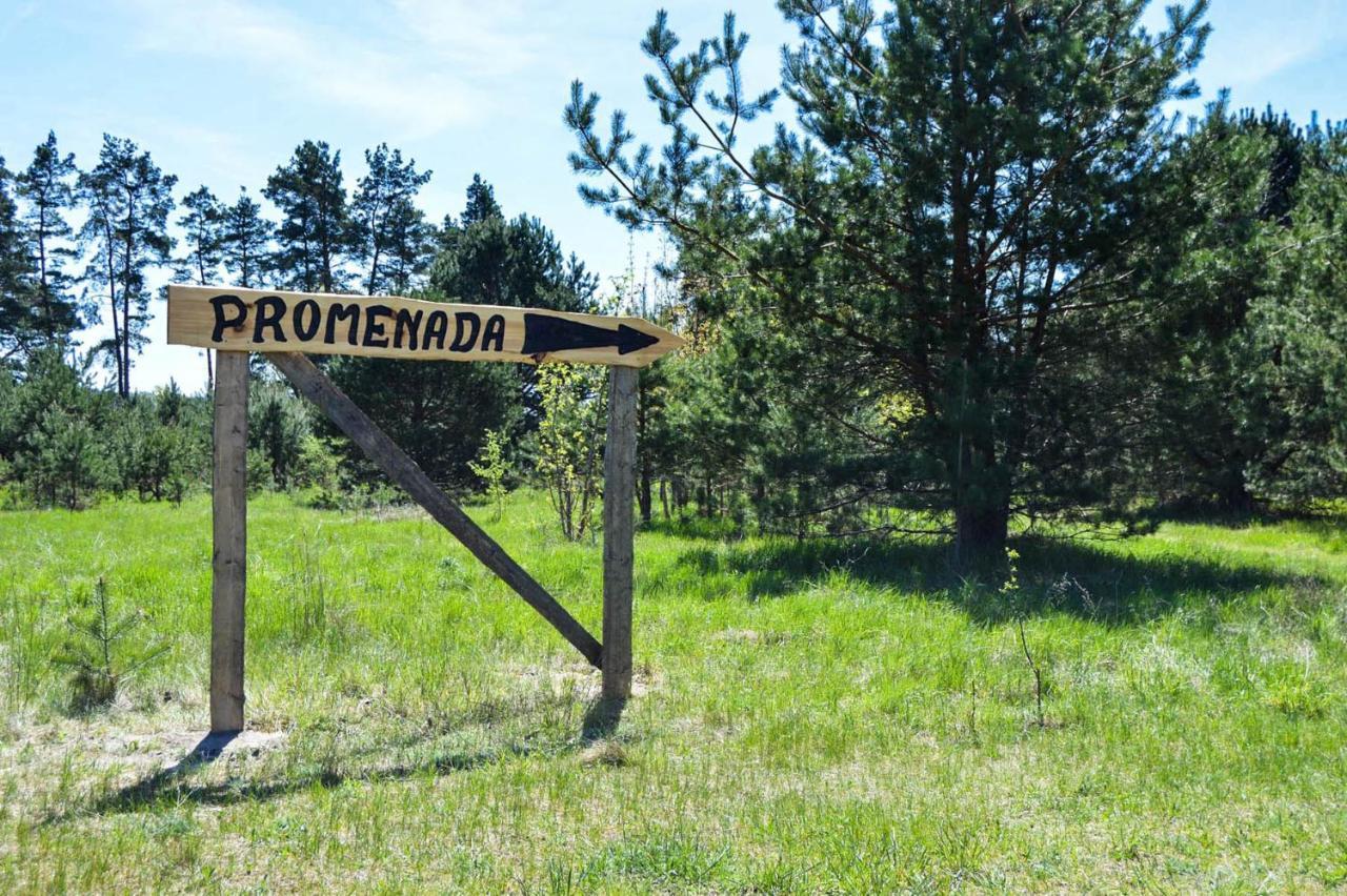 Gosciniec Echo Drewniane Caloroczne Feriehus Piecki (Warmian-Masurian)
